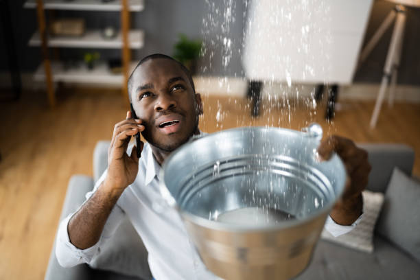 Best Residential water damage restoration  in Pine Level, AL