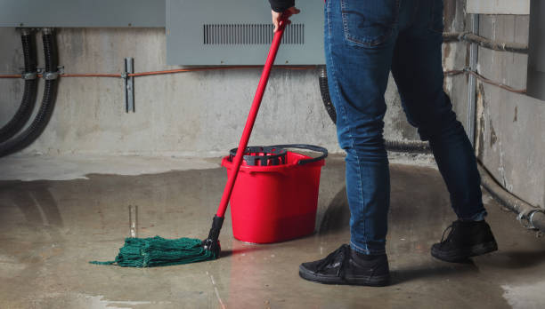 Best Water damage cleanup near me  in Pine Level, AL