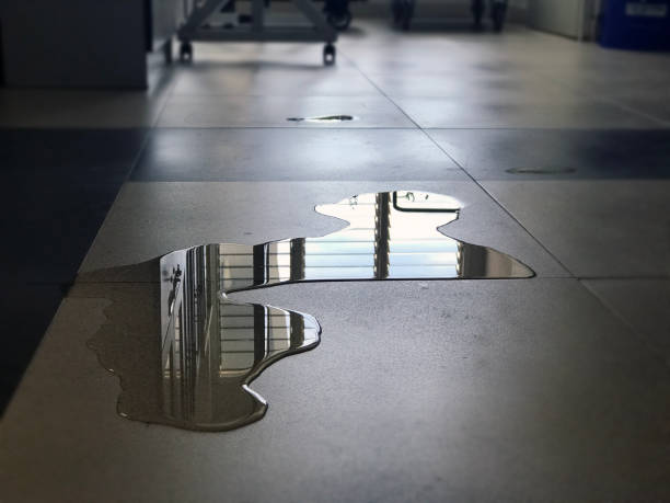 Best Commercial water damage restoration  in Pine Level, AL
