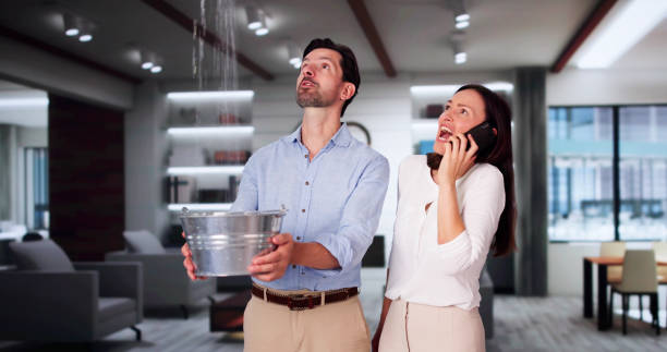 Best Flood damage cleanup  in Pine Level, AL