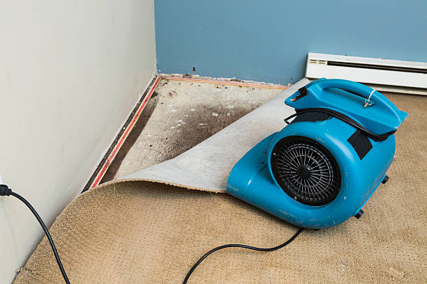 Water damage restoration mold remediation in Pine Level, AL
